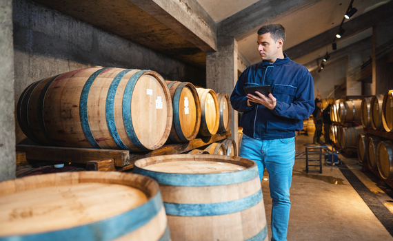 Aquecimento global pode prejudicar a produção de vinhos de Jerez