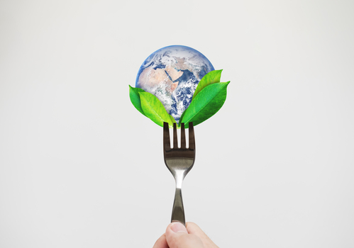 Comer de forma mais sustentável