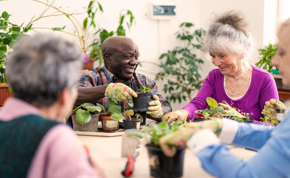 Jardinagem para reduzir o estresse e a ansiedade em idosos
