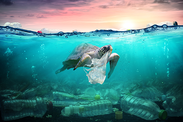 plastic-pollution-in-ocean-turtle-eat-plastic-bag-environmental-problem