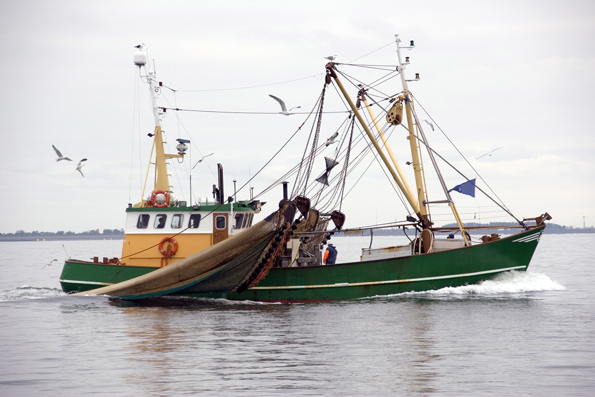 Barco de pesca navegando próximo à costa.