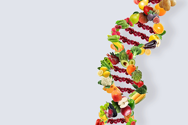 Conceito de nutrição genética. Uma sequência de ADN composta por frutas e legumes. 