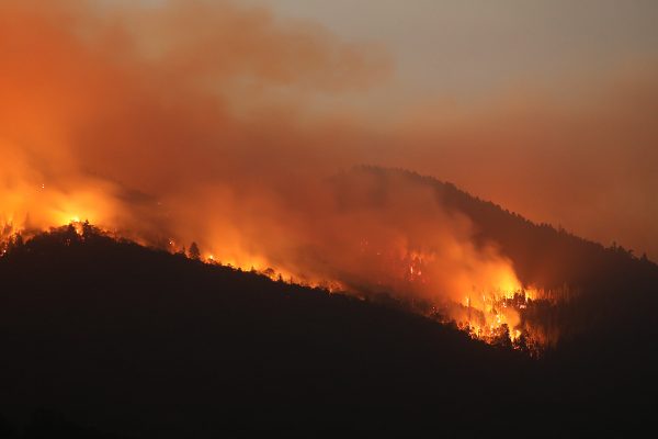 Relatório Climático 2024: Tendências alarmantes e desafios globais