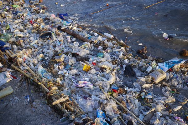 Poluição marinha: devemos deixar o plástico nos oceanos?