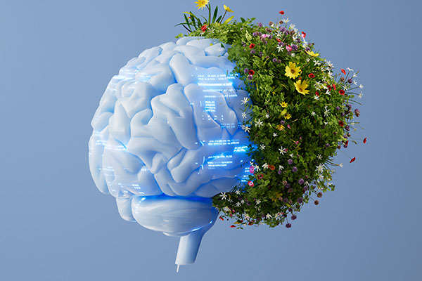 Inteligência Artificial e seu impacto no meio ambiente