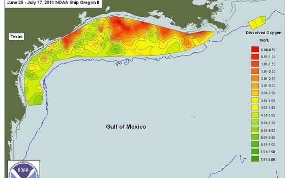Zona muerta del Golfo de México es 17 veces más grande que la capital de Alemania