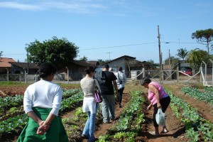 Influencias de la agricultura comunitaria para el urbanismo