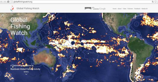 Google lanza proyecto para vigilar la pesca ilegal