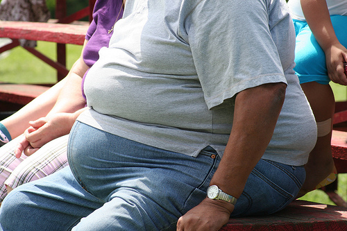 Sistema inmunitario podría influir en el desarrollo de la obesidad