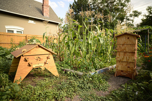 Gratis y libre: Proyecto comunitario para construir panales para abejas