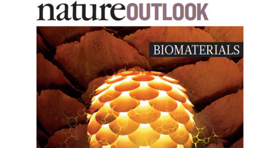 Revista Nature brinda acceso gratuito a su sección «Biomateriales»