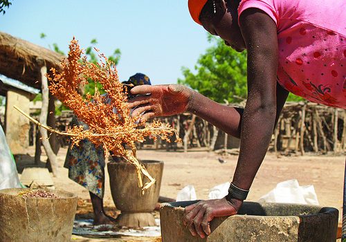 Reducir el desperdicio de comida ayudaría a mitigar el calentamiento global