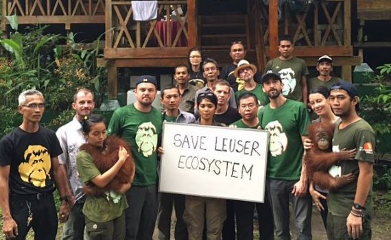 Leonardo Di Caprio pide que se proteja a los orangutanes de Indonesia