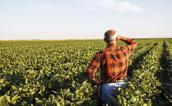 FUNIBER fomenta innovación en el sector agroalimentario en Perú