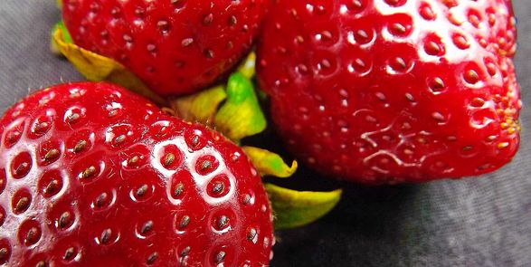 Semillas de la fresa contienen 81% antioxidantes - Funiber Blogs - FUNIBER