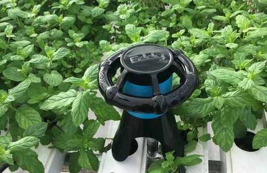 Un robot para cultivos hidropónicos
