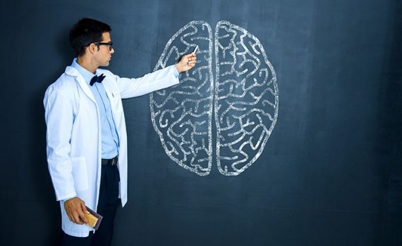 La educación necesita de la neurociencia