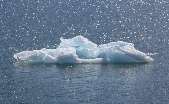 El valor del agua de lujo para el medio ambiente