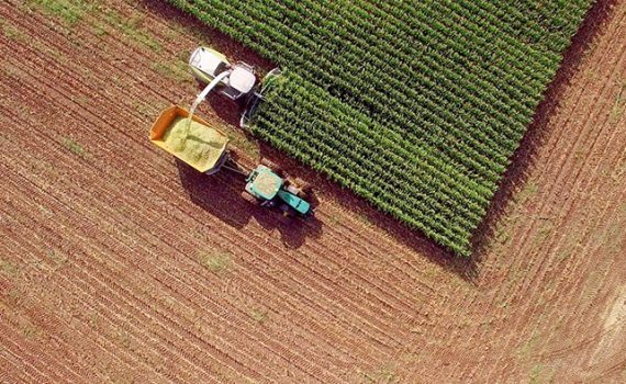 Medidas que podrían mitigar los efectos de la agricultura en España