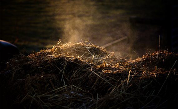 Después de los incendios, es hora de recuperar los suelos