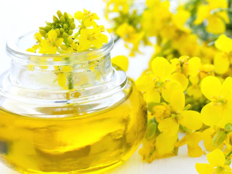 funiber-aceite-de-canola