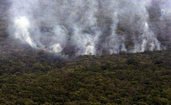 Incendio quema el 28% de la mayor reserva del bioma Cerrado de Brasil