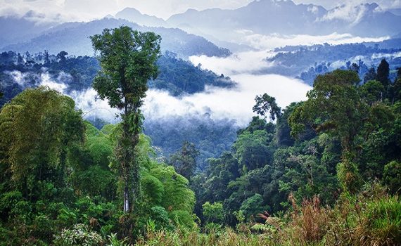 Presidente de Ecuador lanza programa para la conservación ambiental del país