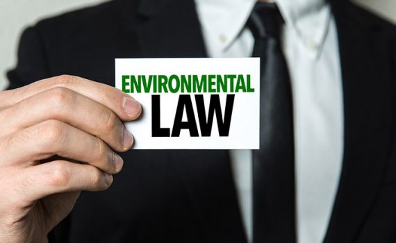 Consulta popular en Ecuador aprueba por mayoría enmiendas ambientales