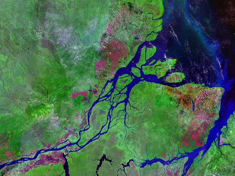 Corales de Amazonia podrían estar amenazados por exploración de petróleo