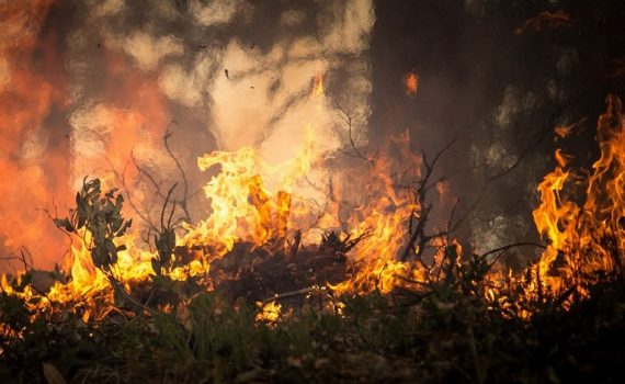 Tras tragedia, Grecia evalúa causas de incendio y errores en evacuación