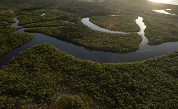 Río Bita, en Colombia, designado zona de importancia internacional