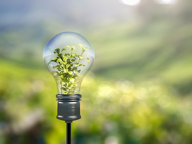 funiber-plantas-electricidad Una empresa española idea una forma de extraer electricidad de las plantas