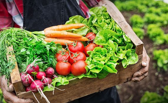 La alimentación que podrá preservar el planeta y la salud de la población