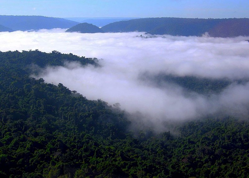 Presión internacional para la preservación ambiental en Brasil