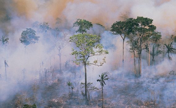 Humo de incendio en Amazonia llegó a São Paulo