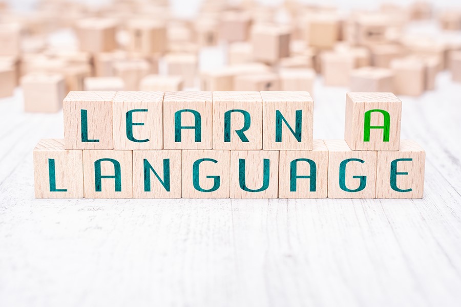 Desafíos y ventajas de la educación bilingüe