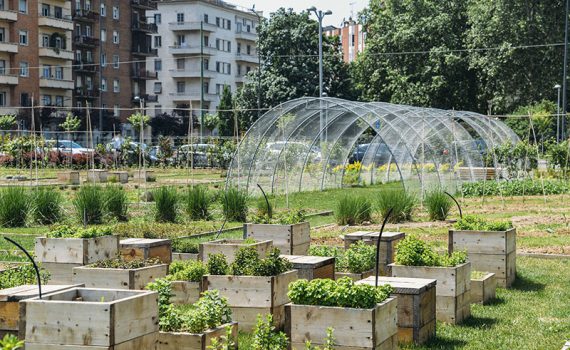 París tendrá el huerto urbano europeo más grande