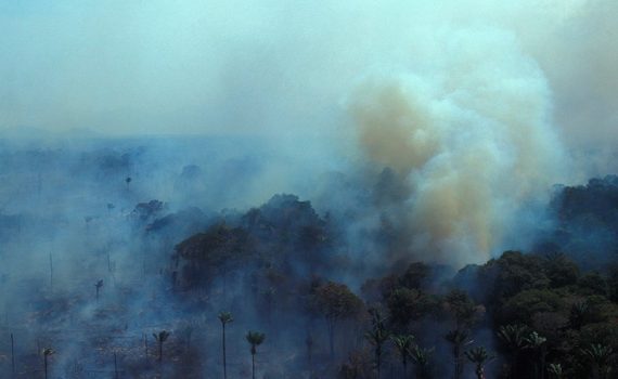 Amazonía en estado de emergencia