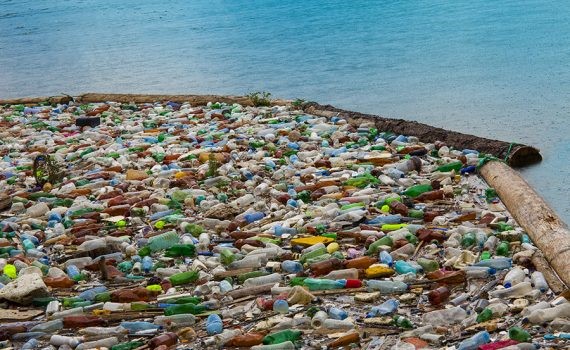 Conozca los efectos de la contaminación del plástico