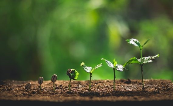 Para reducir el hambre, agricultura climáticamente inteligente