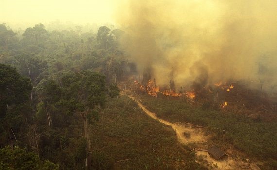 Aumentan los incendios en la parte brasileña del Amazonas