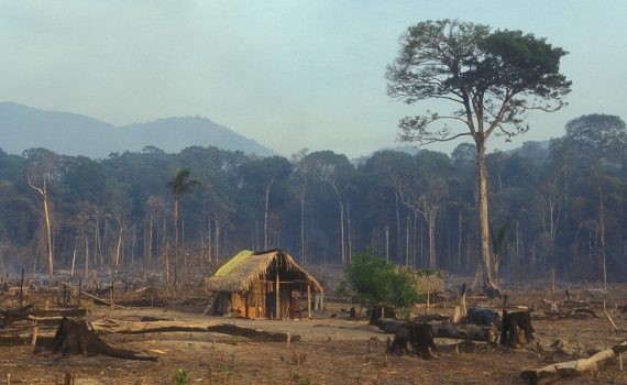 Países aprovechan la crisis para retroceder en acciones ambientales