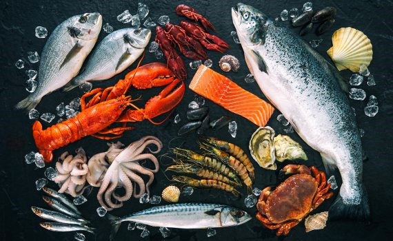 Pesca sostenible para alimentar a la población del futuro