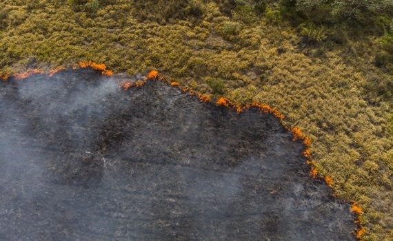 La Amazonia ha perdido el 8% del territorio en los últimos 18 años