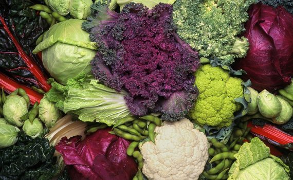 Dieta mediterránea verde: menos carne y más verduras