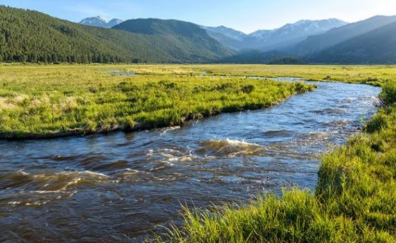 Método puede evaluar la calidad del agua en tiempo real