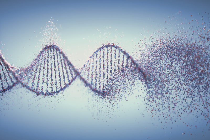 La epigenética y cómo desactivar los "genes malos"