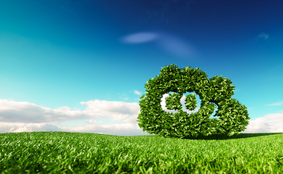 Cómo evitar el cambio climático eliminando el dióxido de carbono
