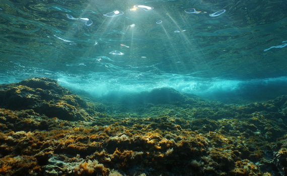 El color del océano está cambiando debido al cambio climático