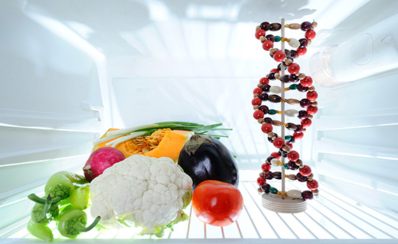 dna-model-and-vegetables-in-refrigerator